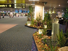 Cairns13 Changi Airport